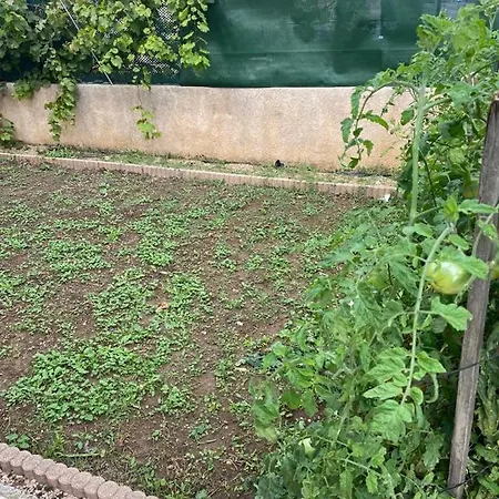 Apartamento - Carré De Soie En Velin