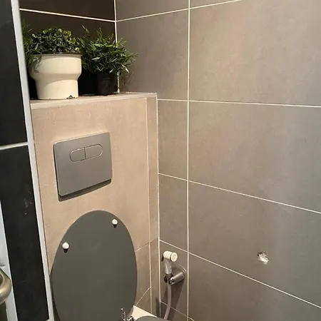 Apartamento - Carré De Soie En Velin